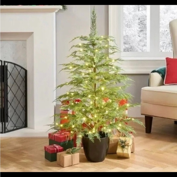 My Texas House Potted 4' Pre-Lit Cypress Artificial Christmas Tree, 100 LED NEW - Picture 2 of 6